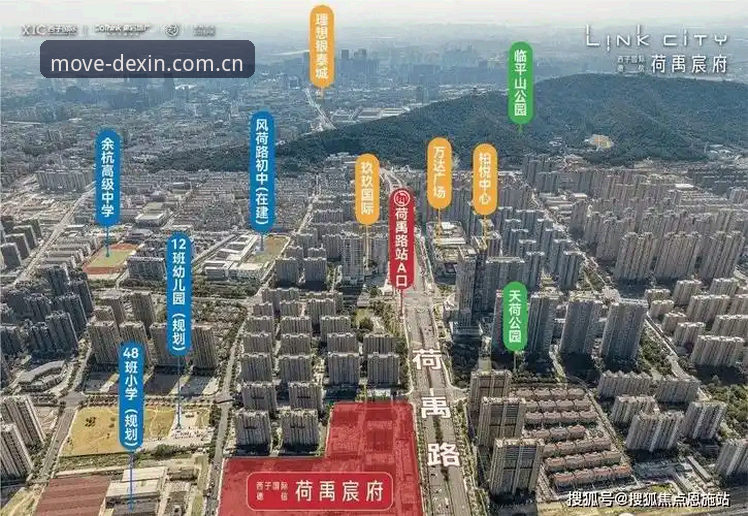 揭秘德信体育2025官方下载：新手也能轻松上手的完整指南